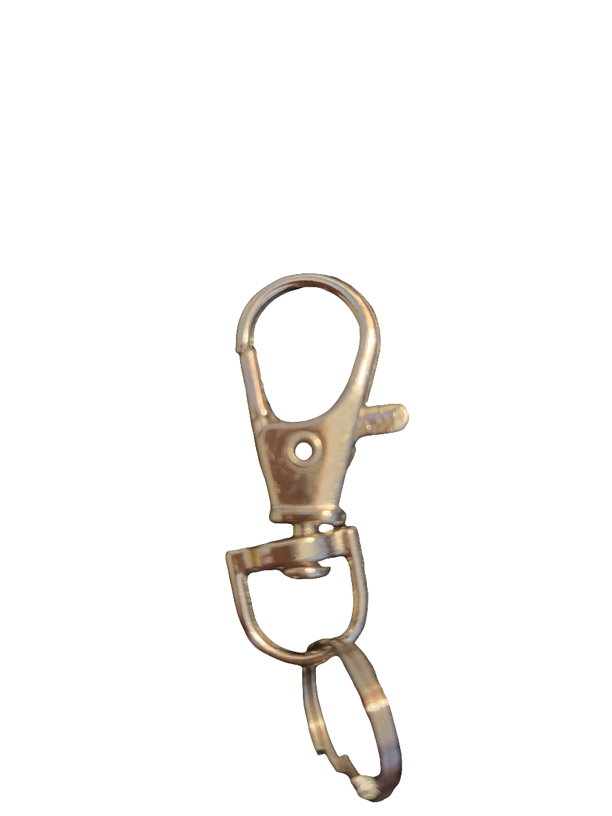 Circus Ring Keychain